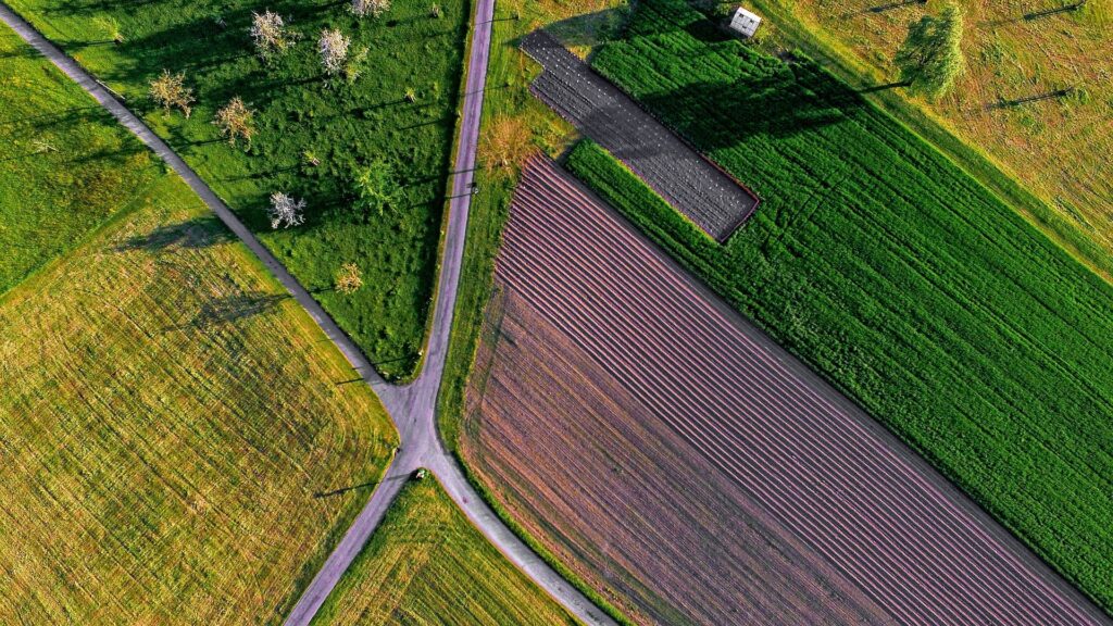 Jordreform LE34 landinspektør